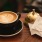 lifestyle image of a bell and receipts from a coffee shop or local restaraunt